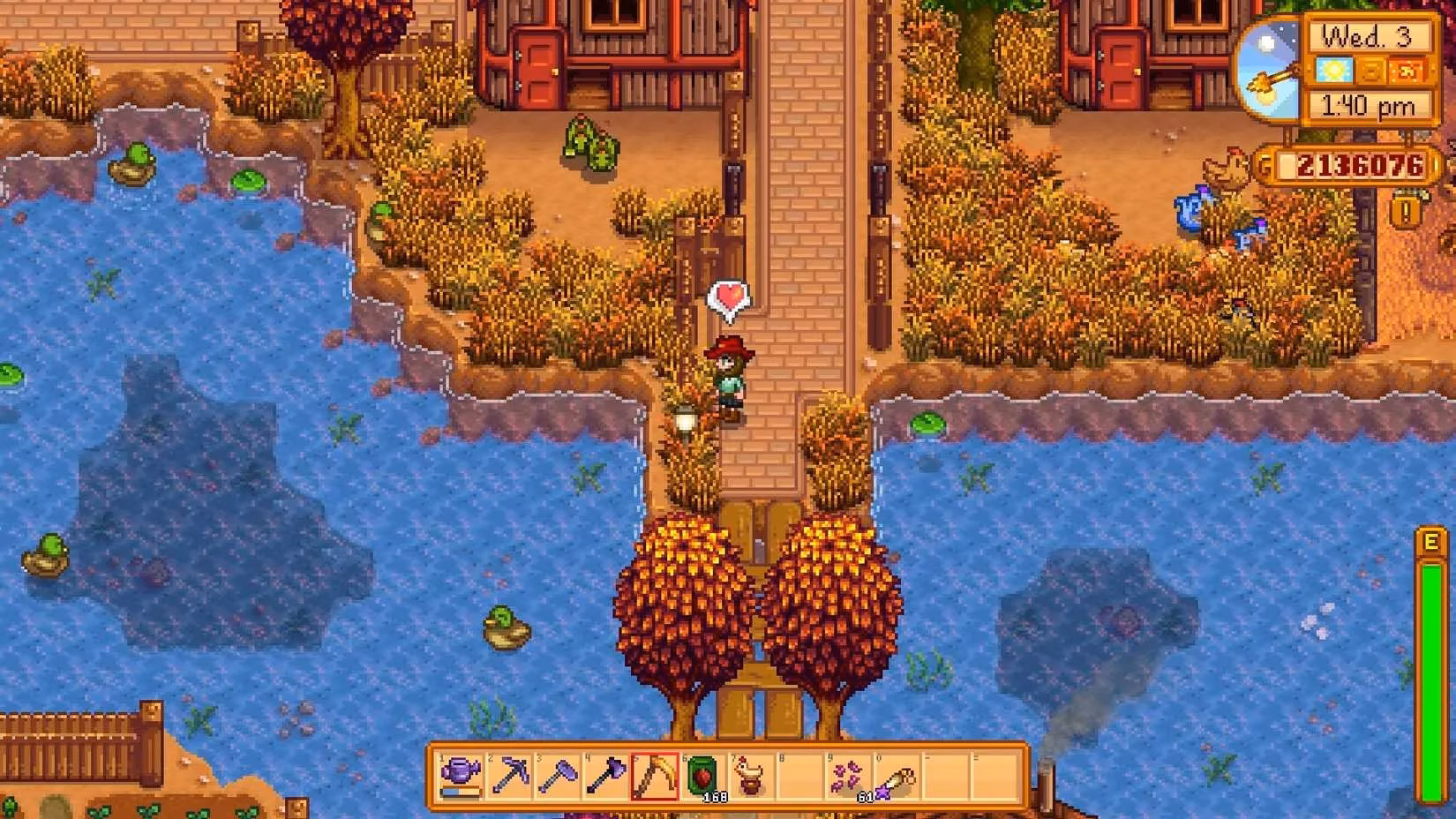 how-i-got-my-stardew-valley-ducks-to-swim-every-single-day-image-1